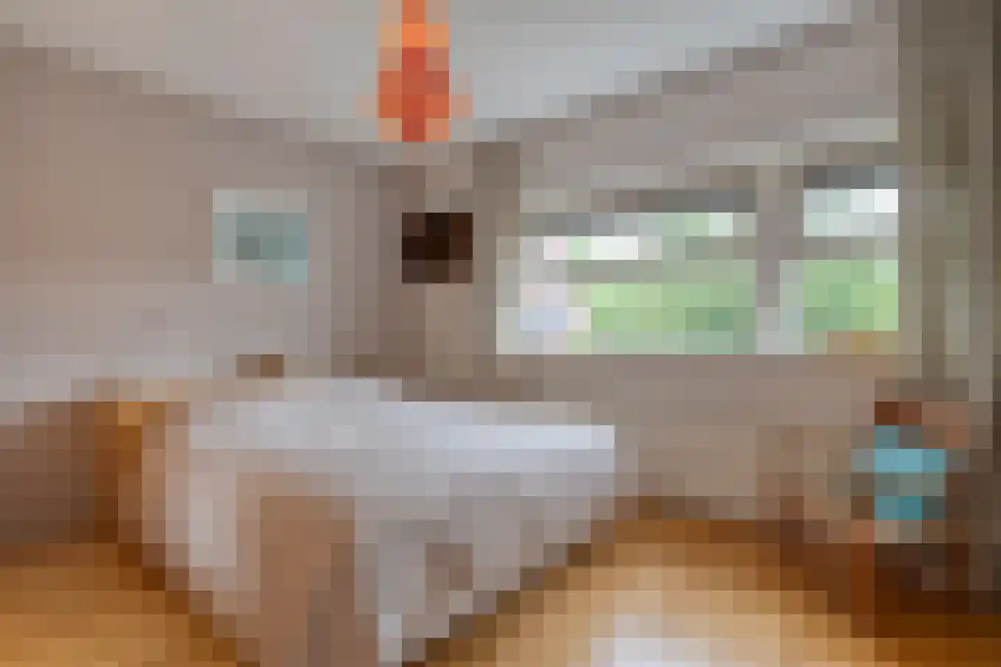 Oude Deventerstraatweg 15 Zwolle thumbnail 27