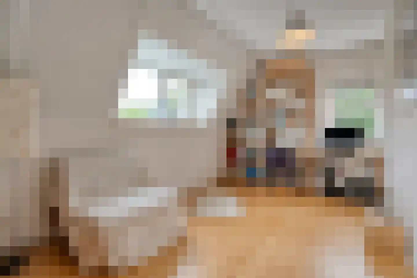 Oude Deventerstraatweg 15 Zwolle thumbnail 31