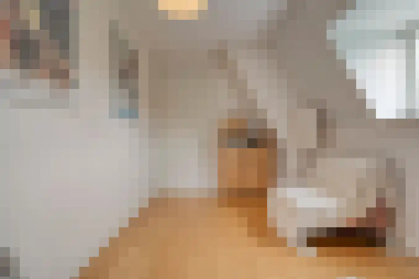 Oude Deventerstraatweg 15 Zwolle thumbnail 32