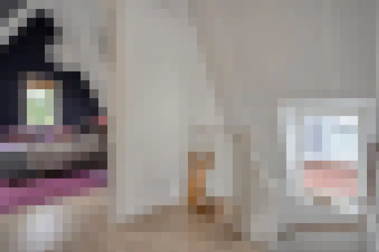 Oude Deventerstraatweg 15 Zwolle thumbnail 37