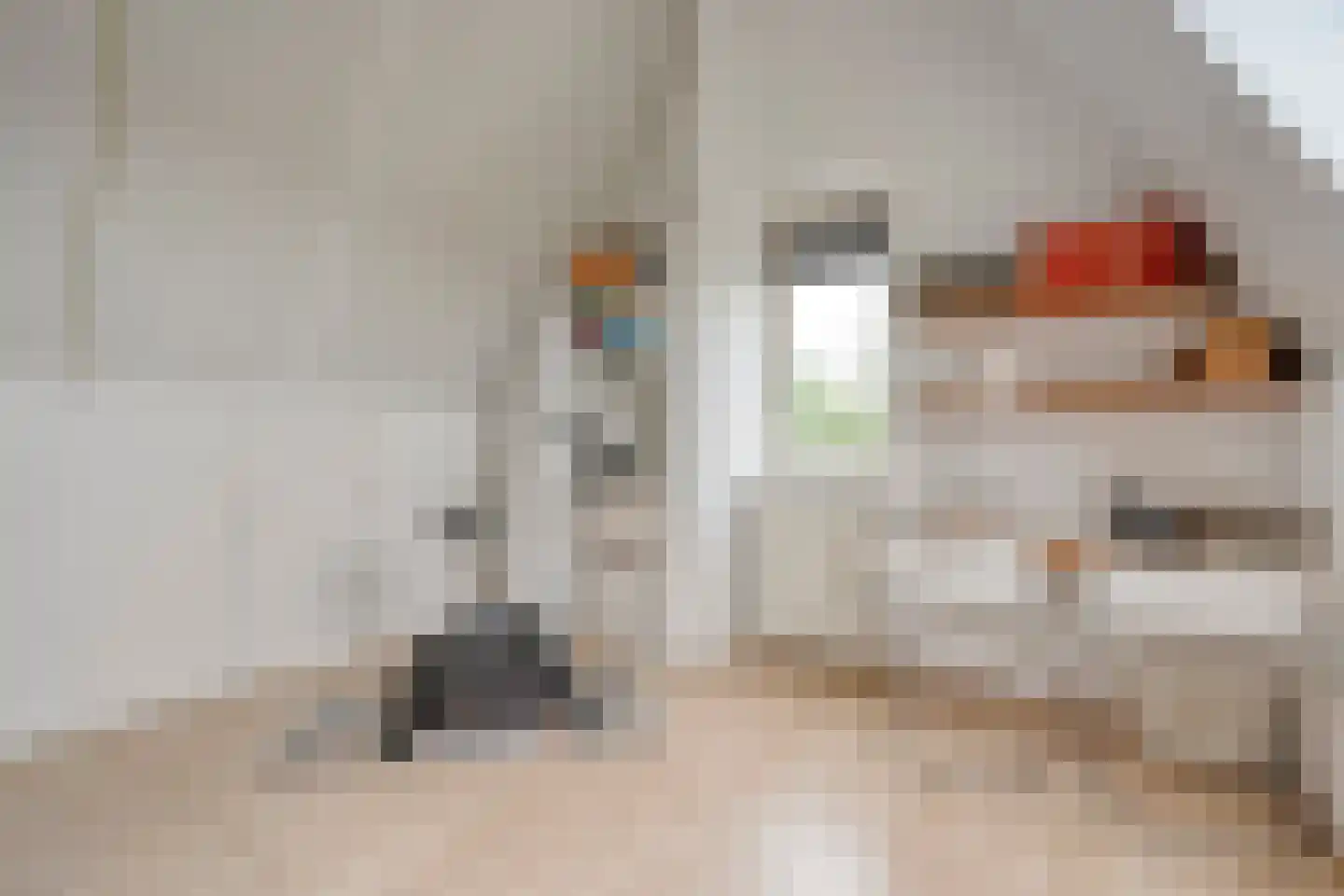 Oude Deventerstraatweg 15 Zwolle thumbnail 40