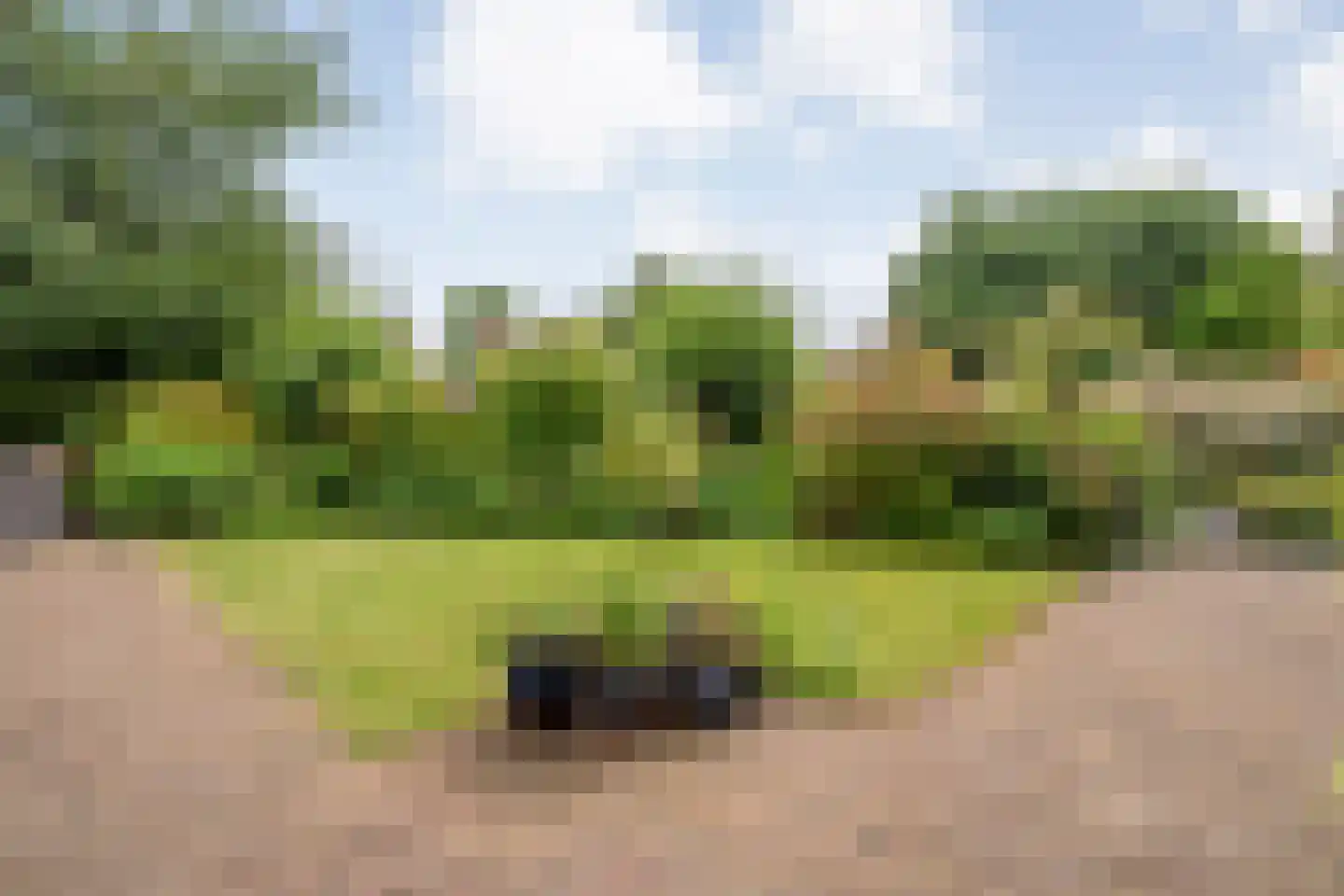 Oude Deventerstraatweg 15 Zwolle thumbnail 45