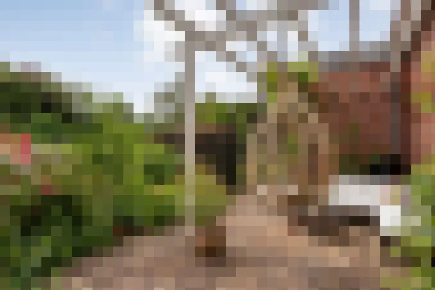 Oude Deventerstraatweg 15 Zwolle thumbnail 46