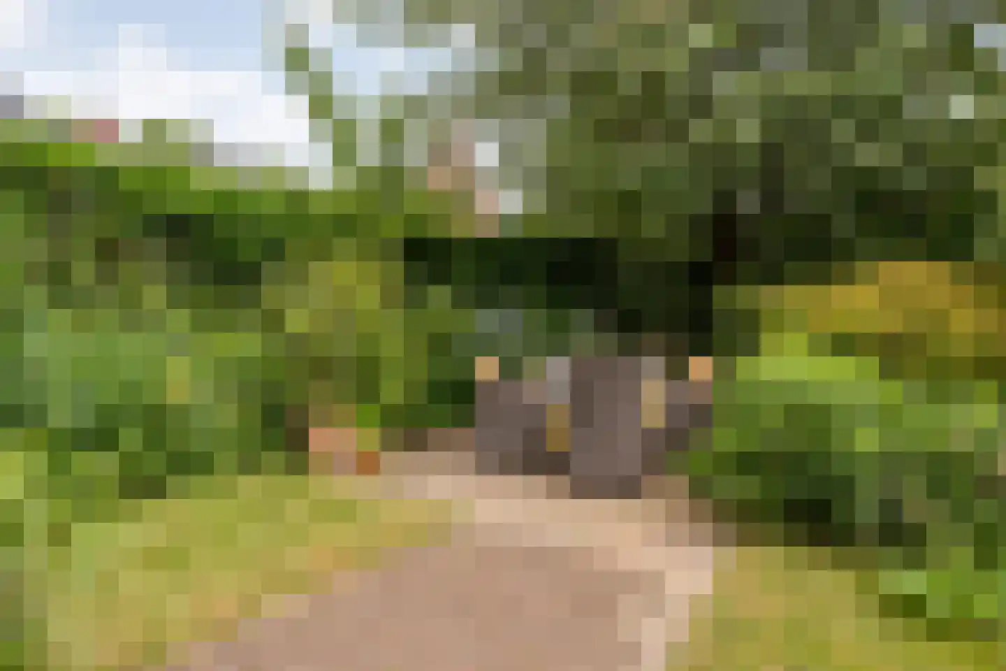 Oude Deventerstraatweg 15 Zwolle thumbnail 50