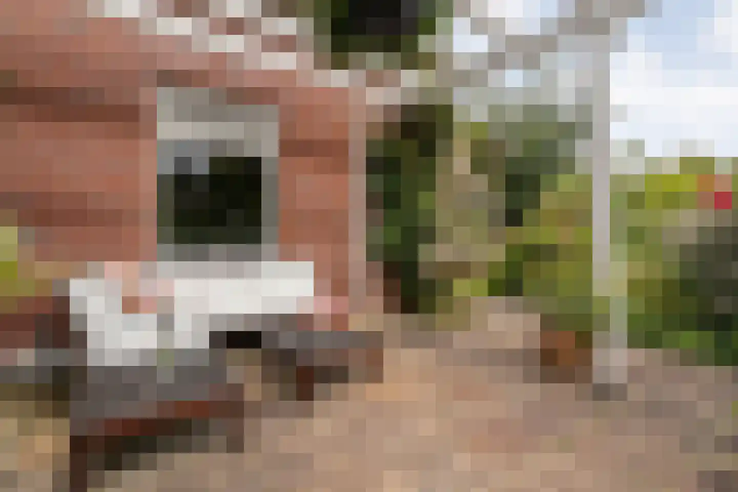 Oude Deventerstraatweg 15 Zwolle thumbnail 54