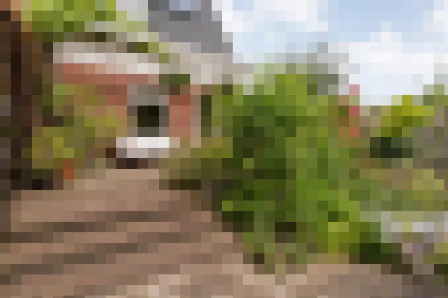 Oude Deventerstraatweg 15 Zwolle thumbnail 57