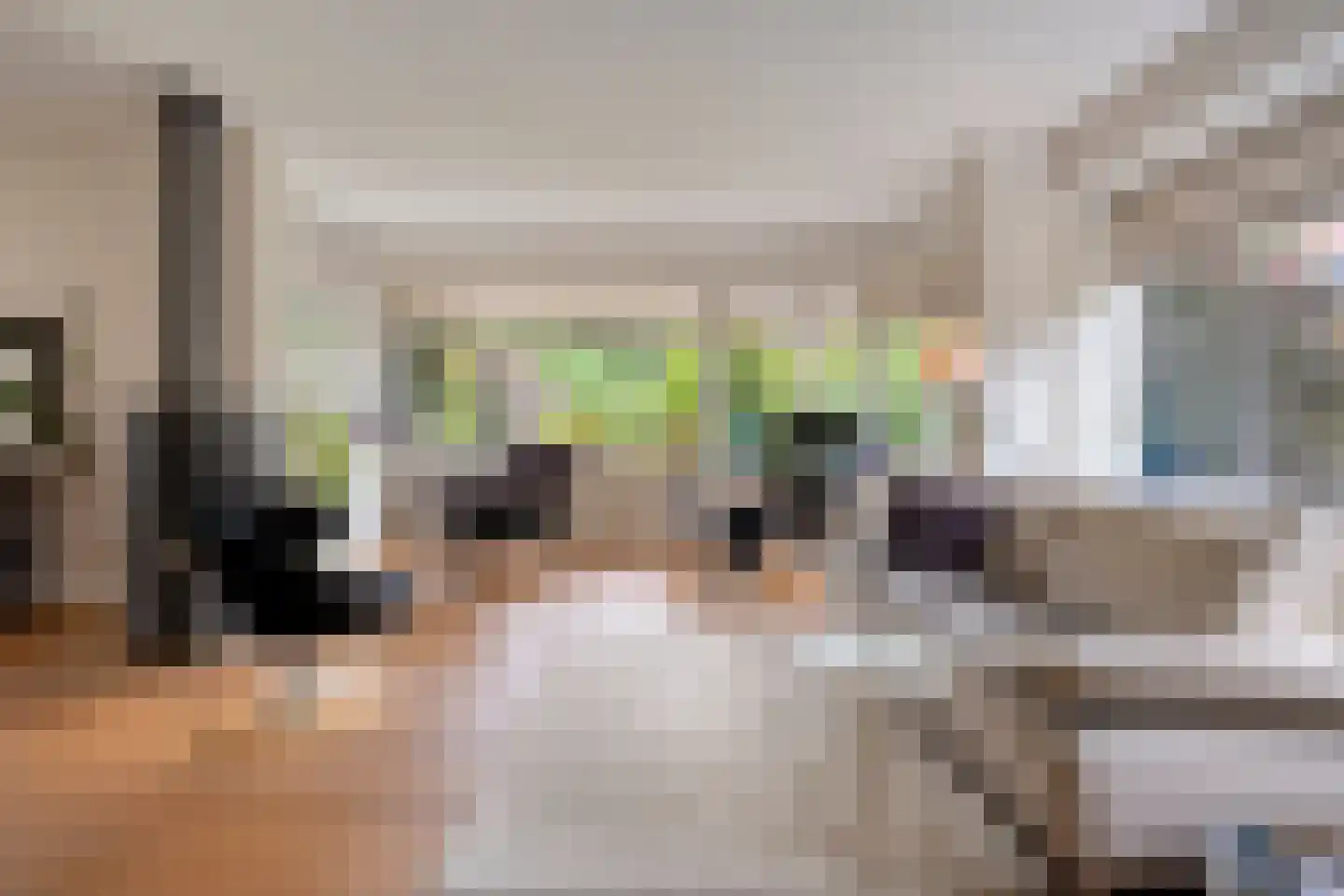 Oude Deventerstraatweg 15 Zwolle thumbnail 8