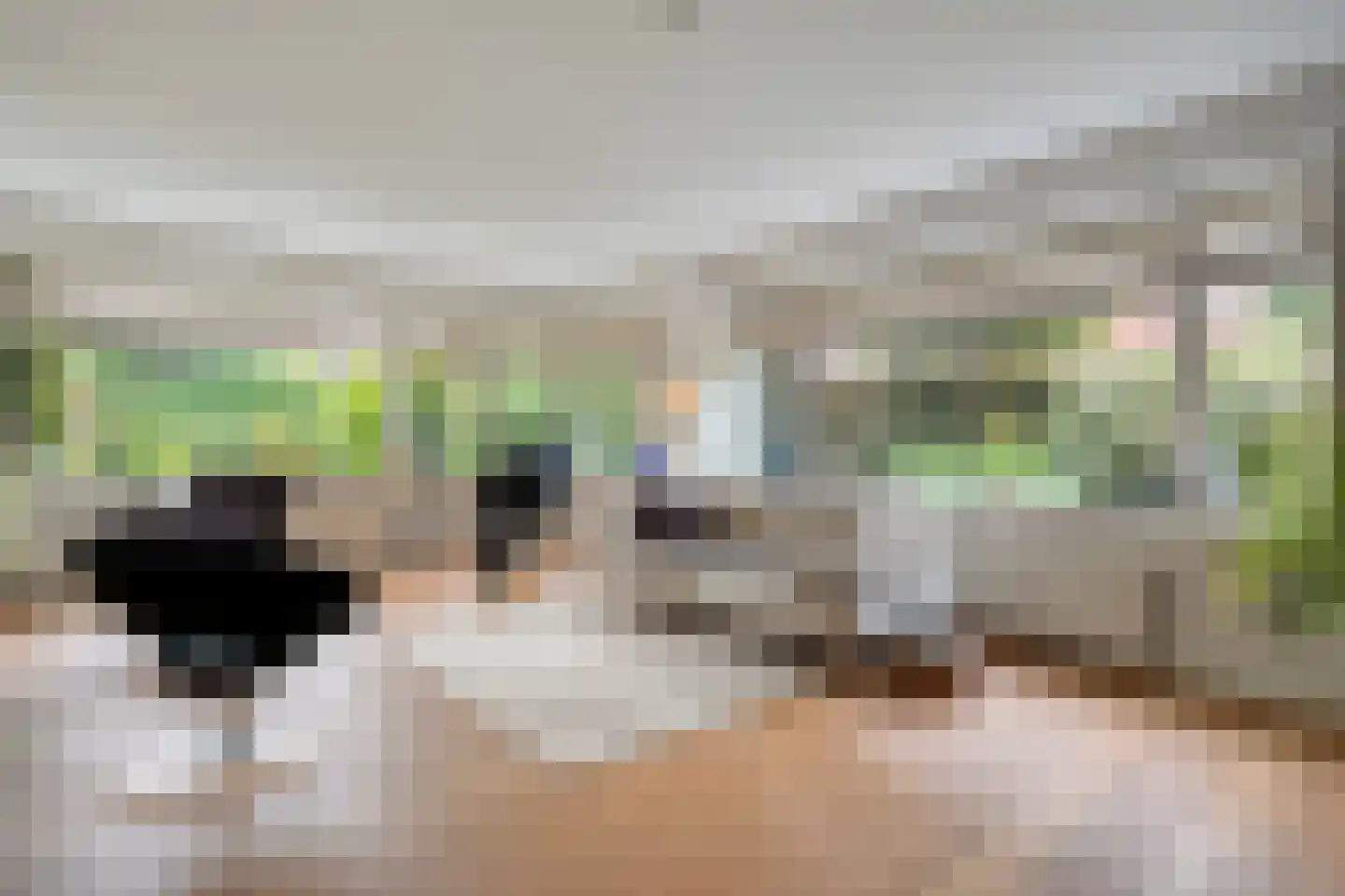 Oude Deventerstraatweg 15 Zwolle thumbnail 9