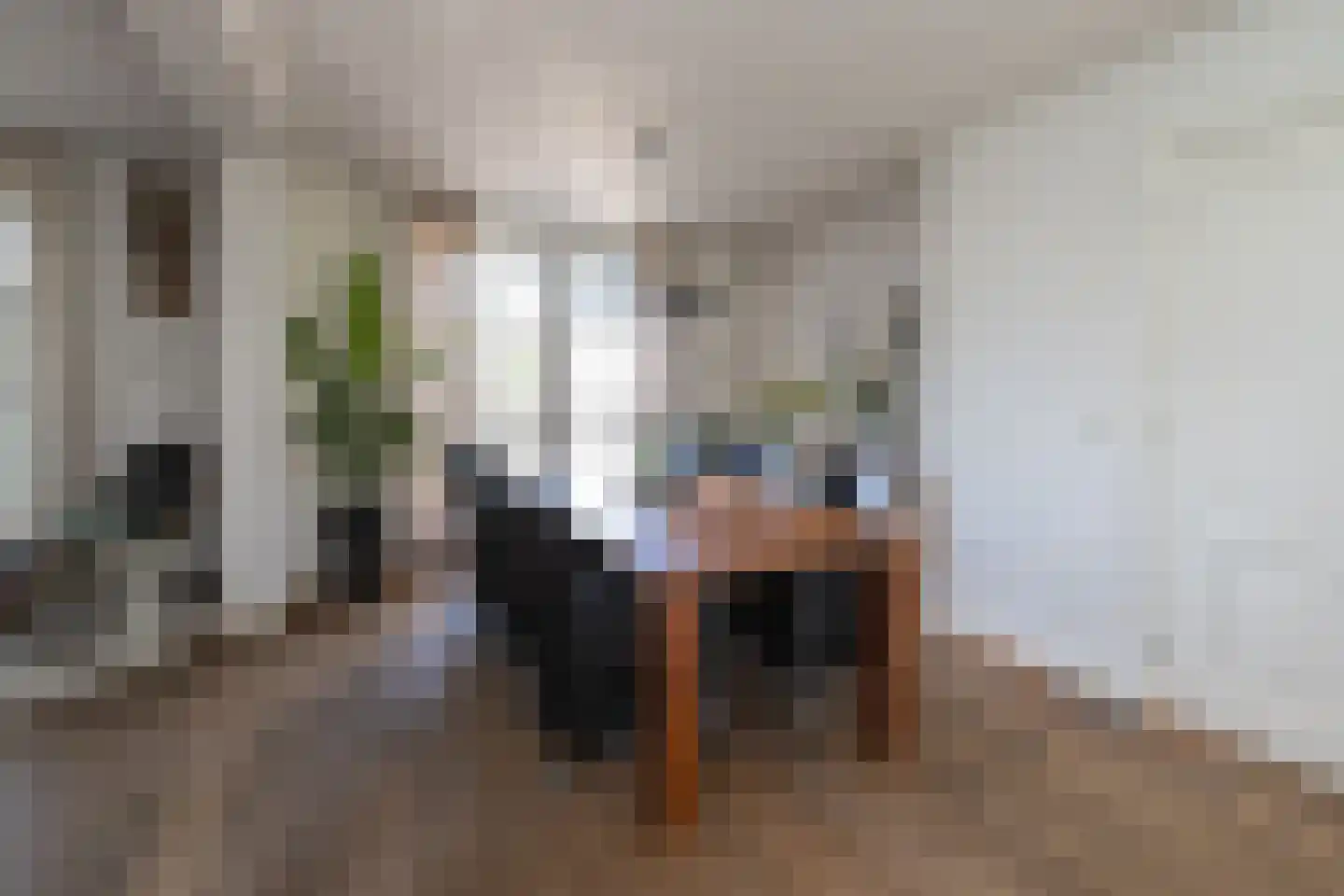 Oude Deventerstraatweg 24 Zwolle thumbnail 15