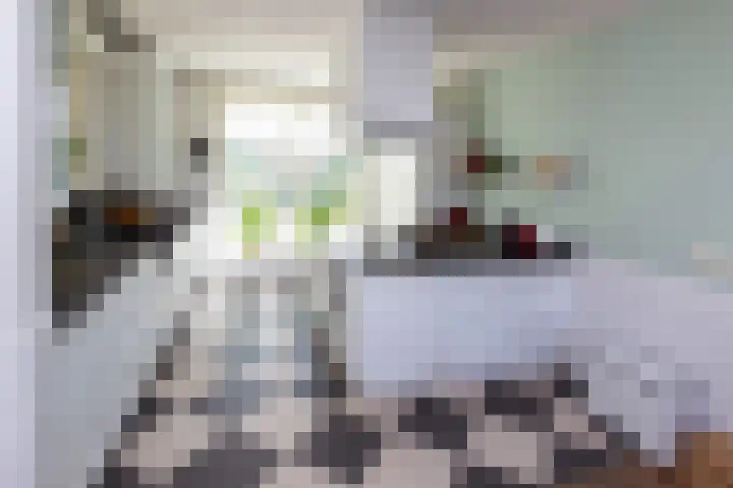 Oude Deventerstraatweg 24 Zwolle thumbnail 16