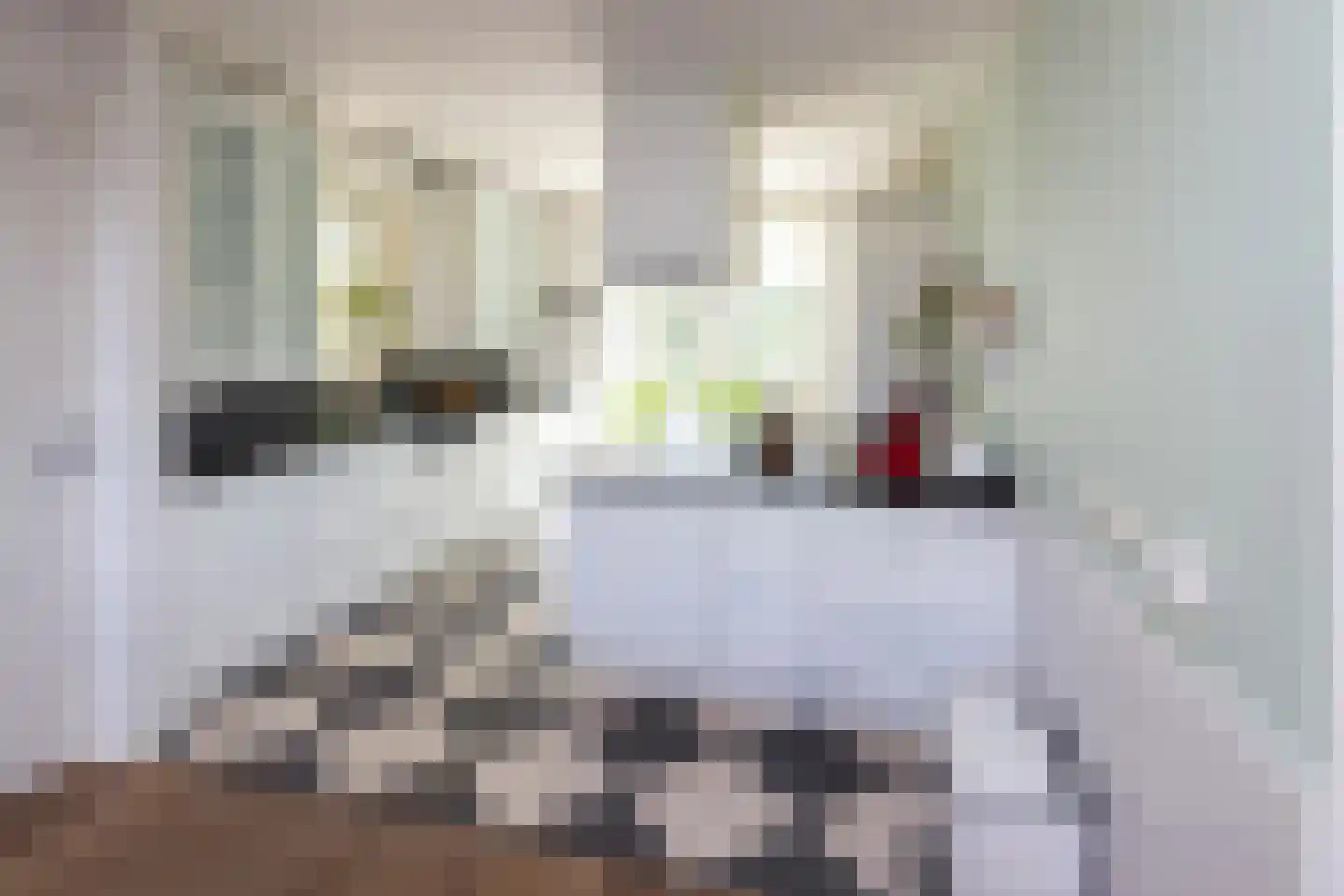 Oude Deventerstraatweg 24 Zwolle thumbnail 17