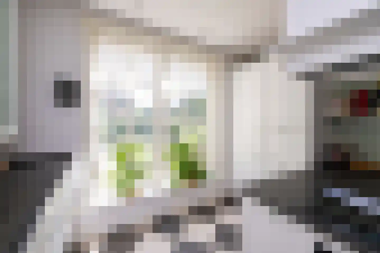 Oude Deventerstraatweg 24 Zwolle thumbnail 19