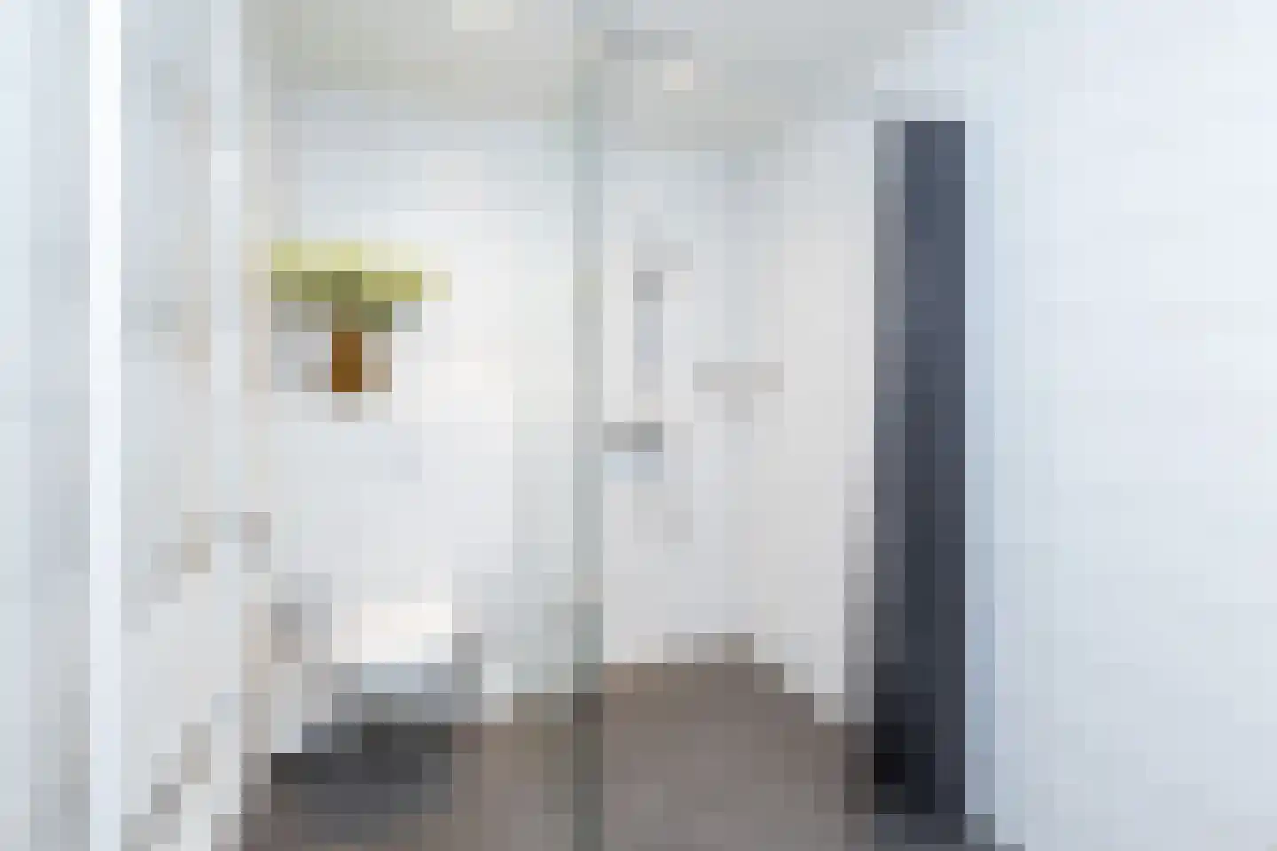 Oude Deventerstraatweg 24 Zwolle thumbnail 26