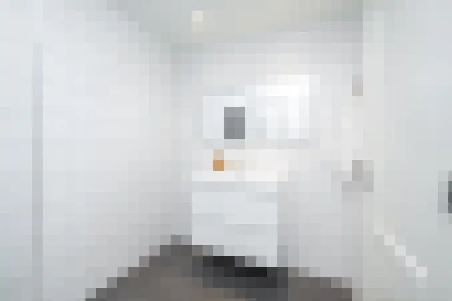 Oude Deventerstraatweg 24 Zwolle thumbnail 27