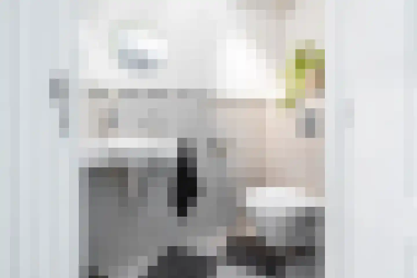 Oude Deventerstraatweg 24 Zwolle thumbnail 30