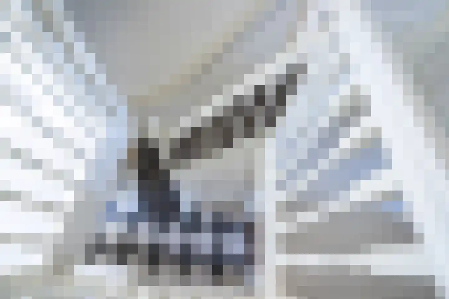 Oude Deventerstraatweg 24 Zwolle thumbnail 32