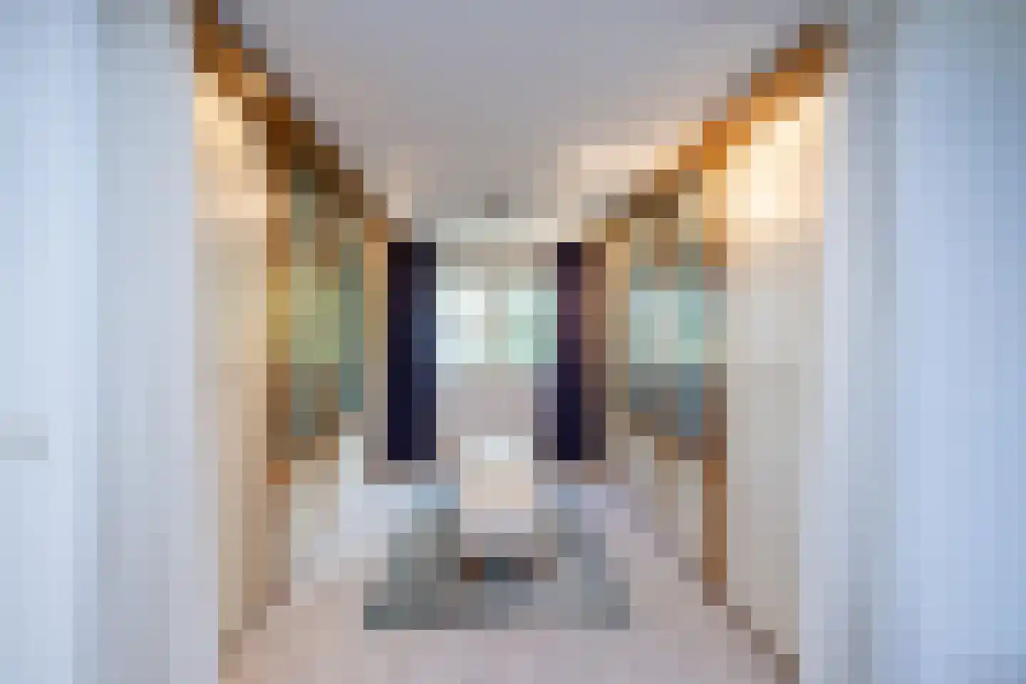Oude Deventerstraatweg 24 Zwolle thumbnail 40