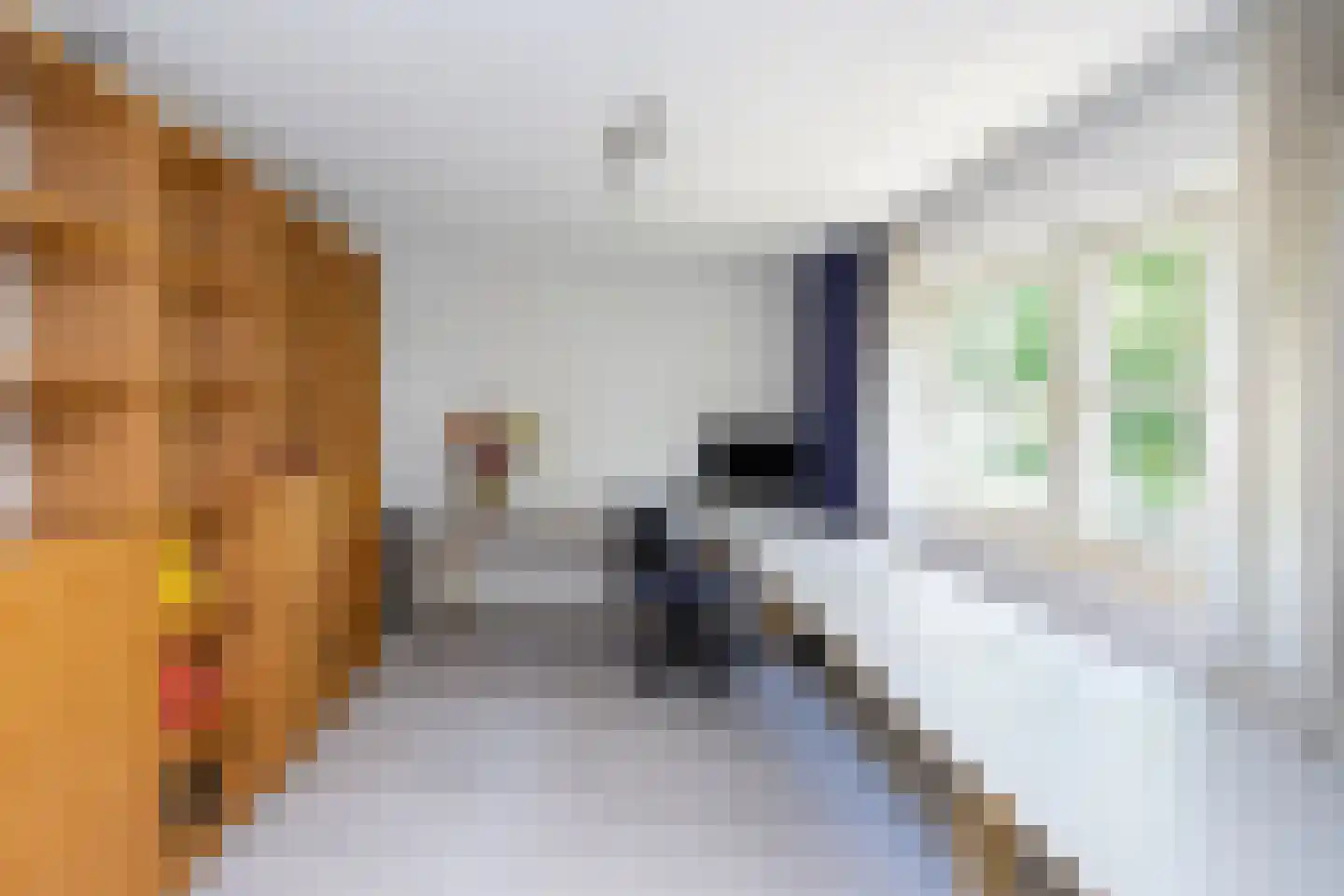 Oude Deventerstraatweg 24 Zwolle thumbnail 44