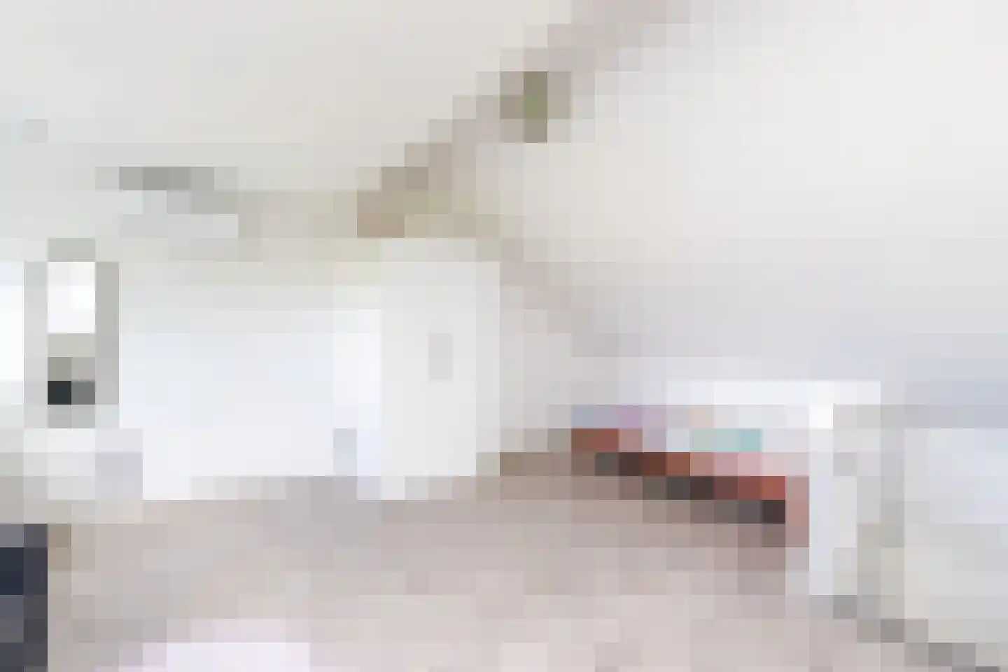 Oude Deventerstraatweg 24 Zwolle thumbnail 45