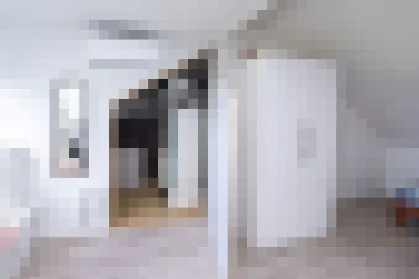 Oude Deventerstraatweg 24 Zwolle thumbnail 49