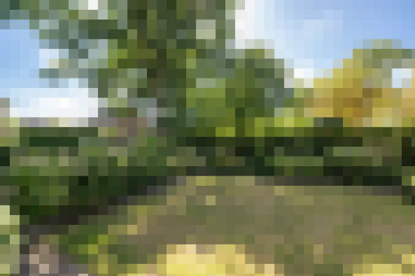 Oude Deventerstraatweg 24 Zwolle thumbnail 54