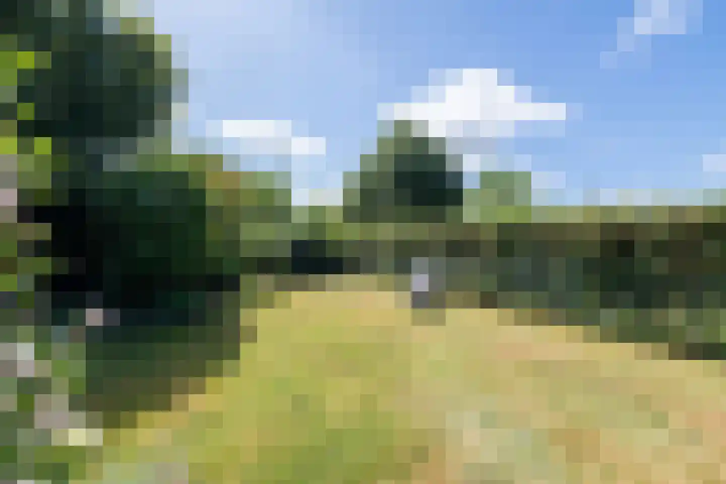 Oude Deventerstraatweg 24 Zwolle thumbnail 61