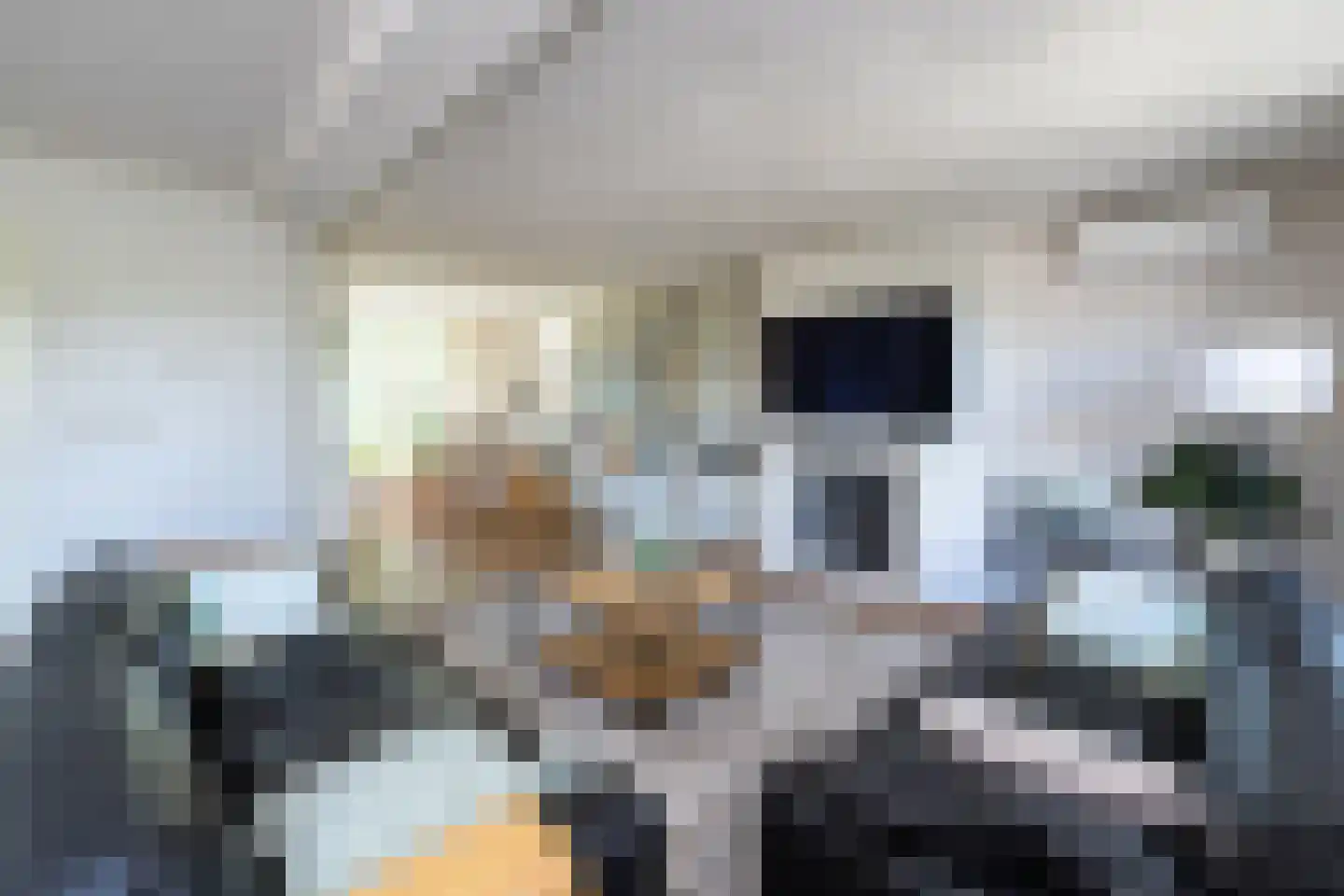 Oude Deventerstraatweg 24 Zwolle thumbnail 7