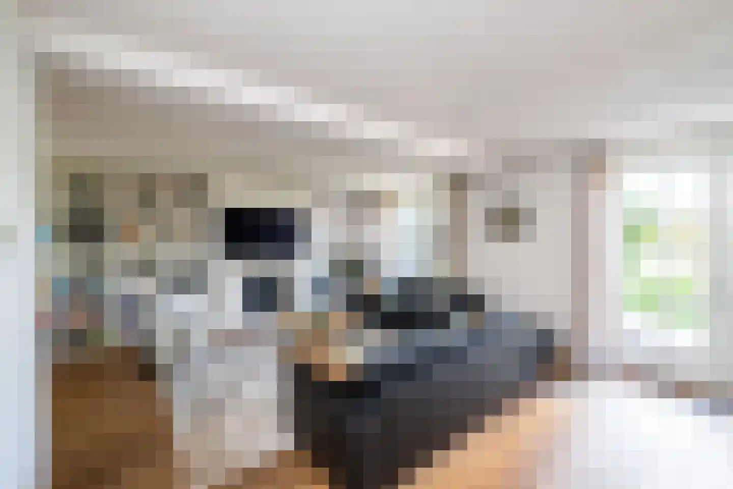 Oude Deventerstraatweg 24 Zwolle thumbnail 8