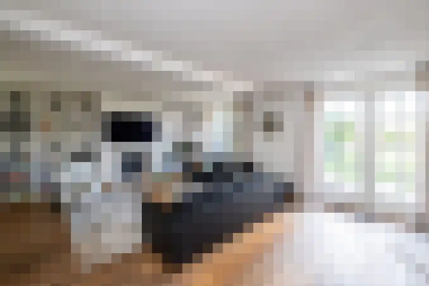 Oude Deventerstraatweg 24 Zwolle thumbnail 9