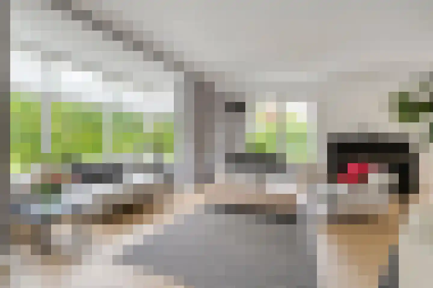 Oude Deventerstraatweg 31 Zwolle thumbnail 11