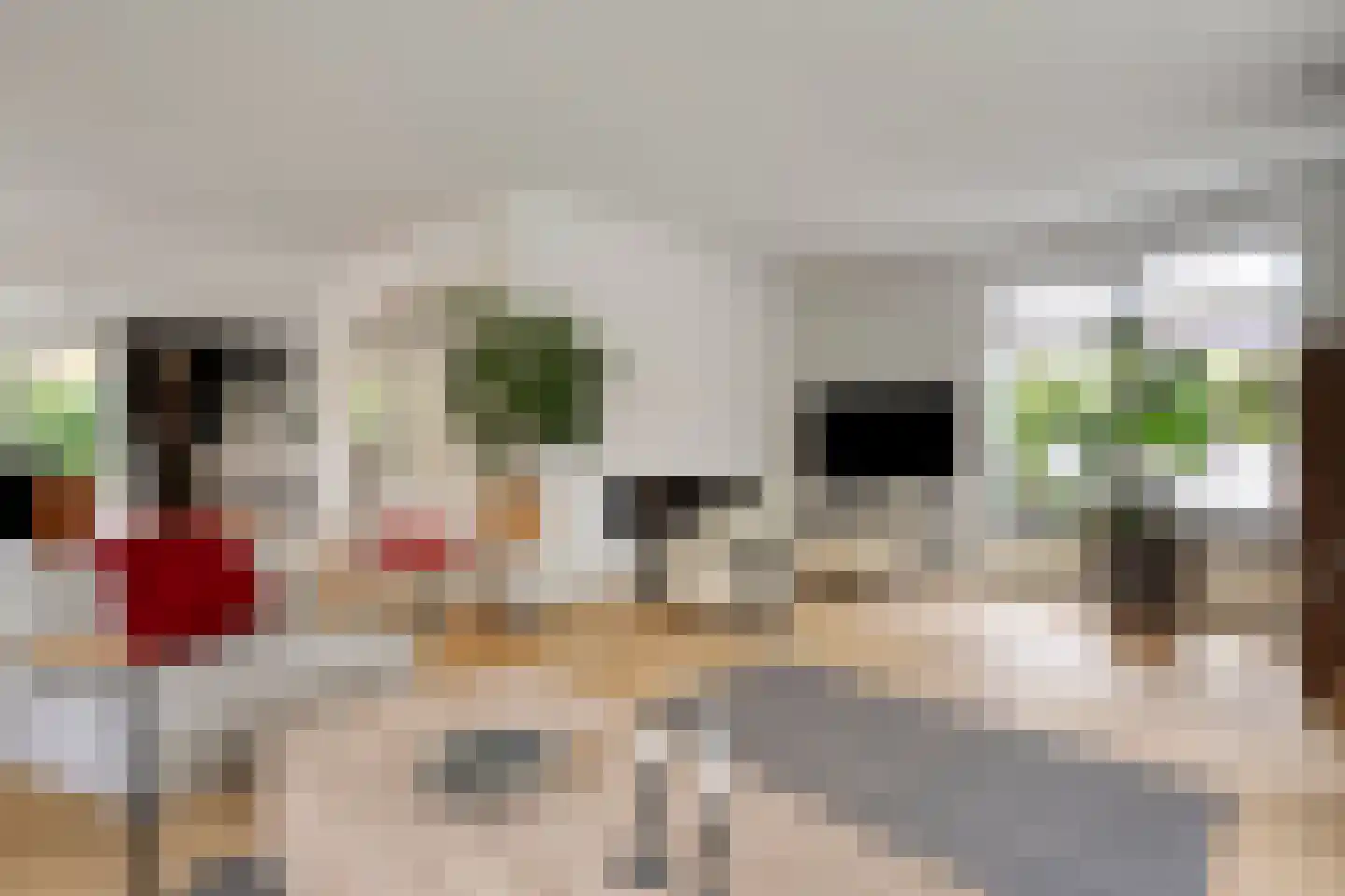 Oude Deventerstraatweg 31 Zwolle thumbnail 12