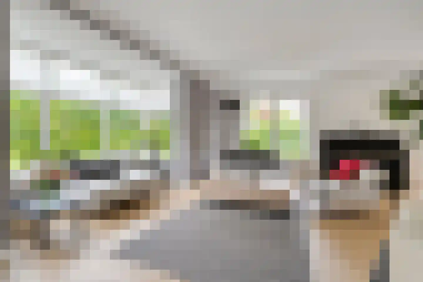 Oude Deventerstraatweg 31 Zwolle thumbnail 12