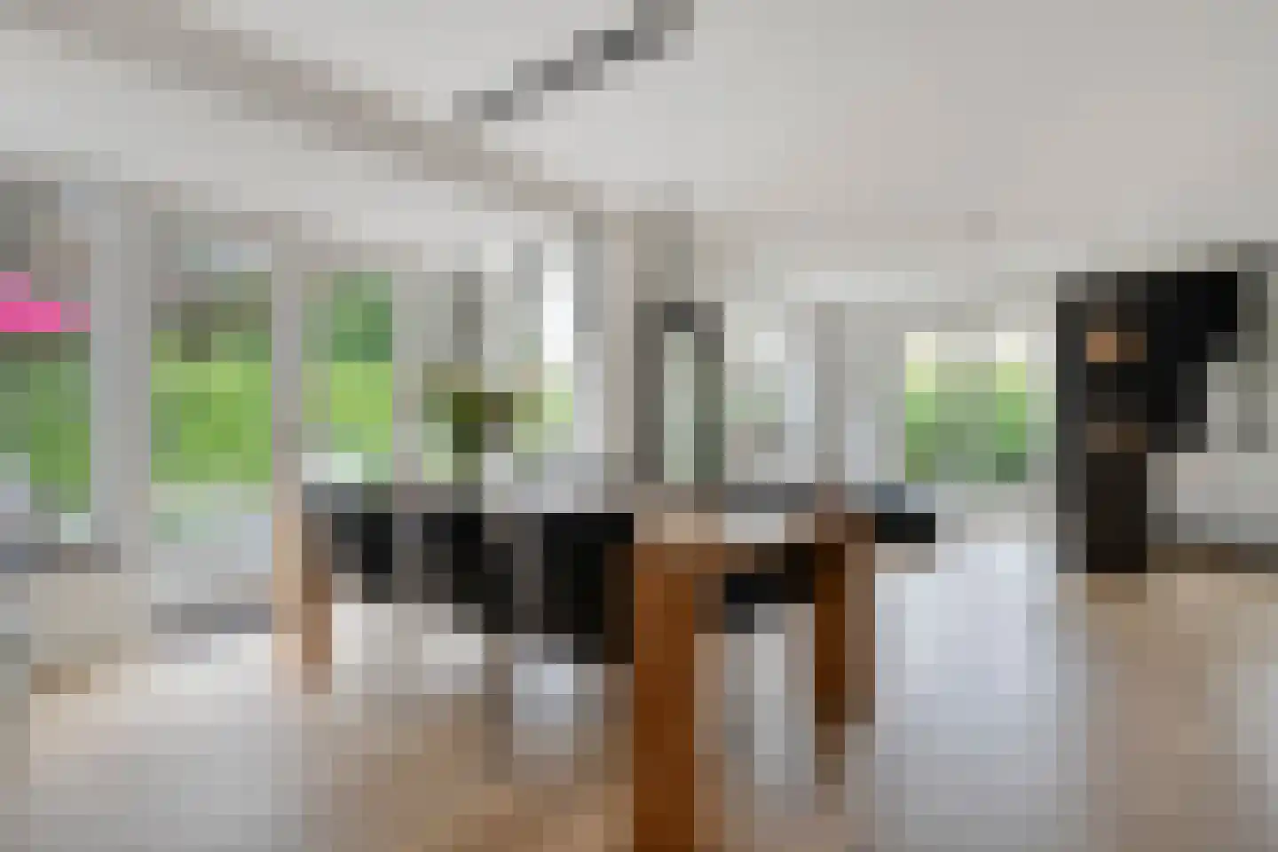 Oude Deventerstraatweg 31 Zwolle thumbnail 14
