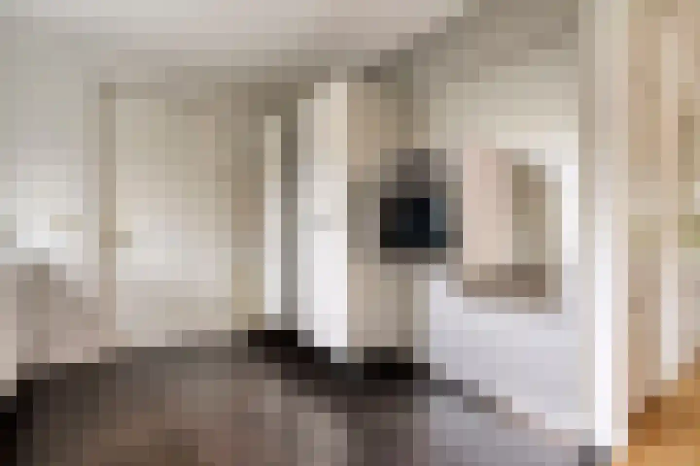 Oude Deventerstraatweg 31 Zwolle thumbnail 17