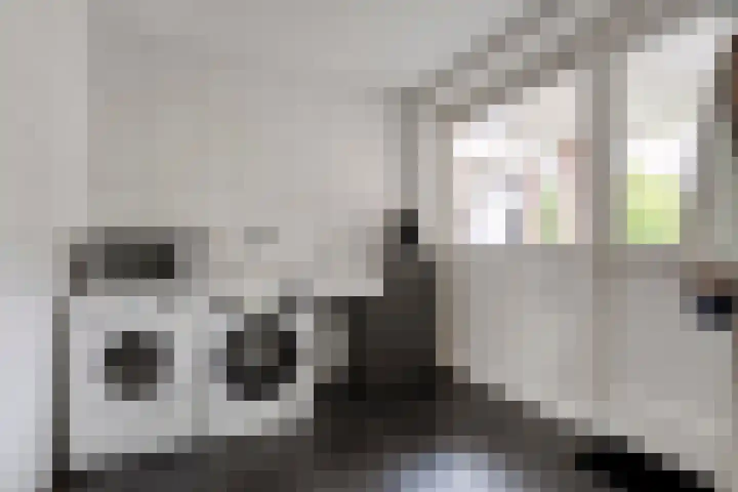 Oude Deventerstraatweg 31 Zwolle thumbnail 17