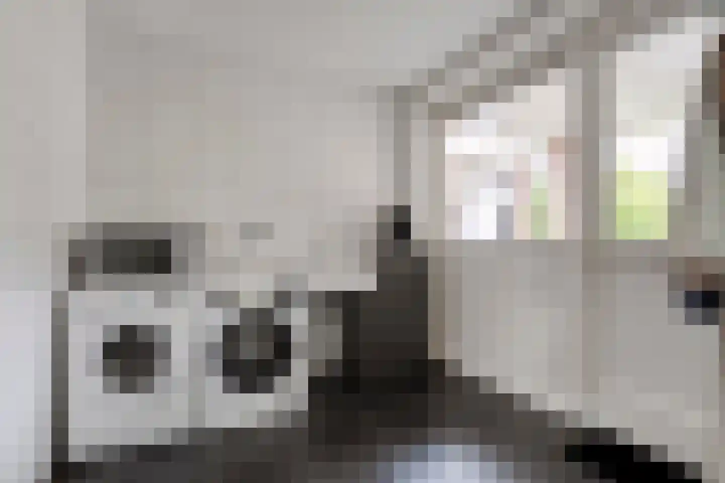 Oude Deventerstraatweg 31 Zwolle thumbnail 18