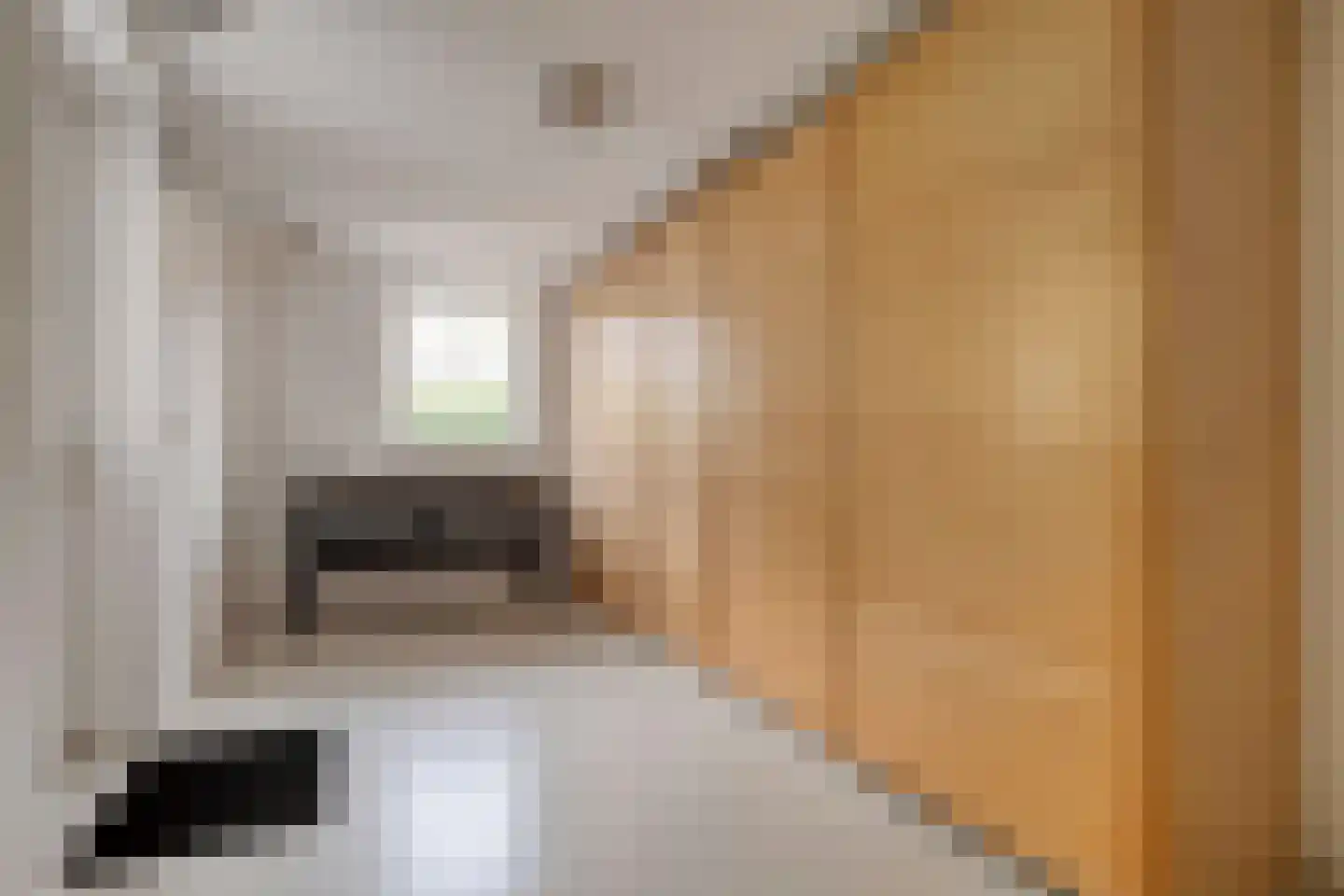 Oude Deventerstraatweg 31 Zwolle thumbnail 19