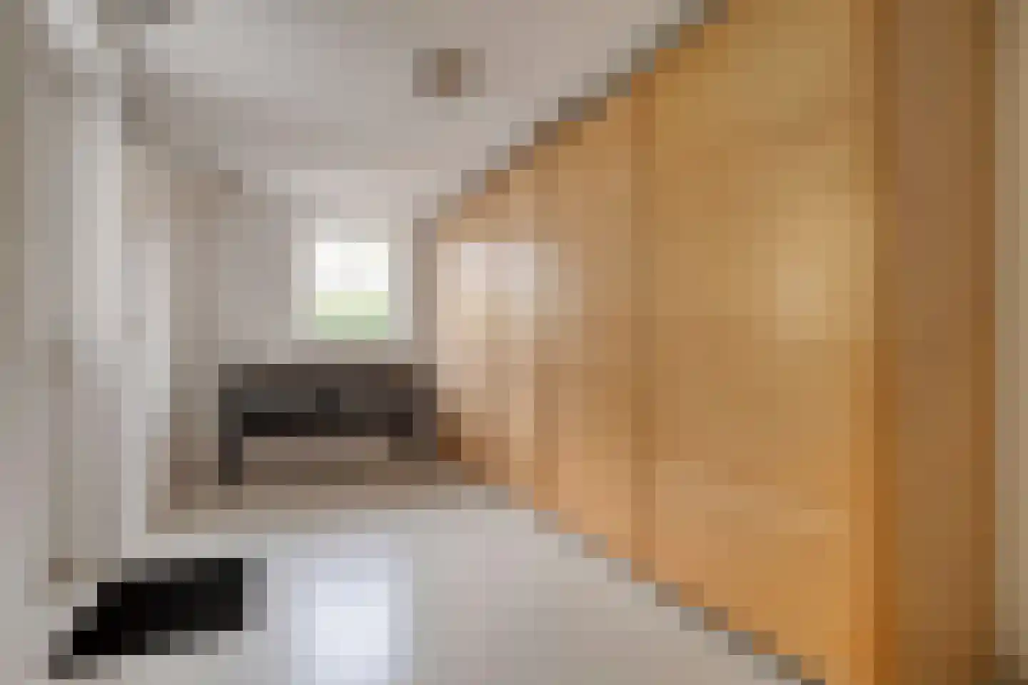 Oude Deventerstraatweg 31 Zwolle thumbnail 20