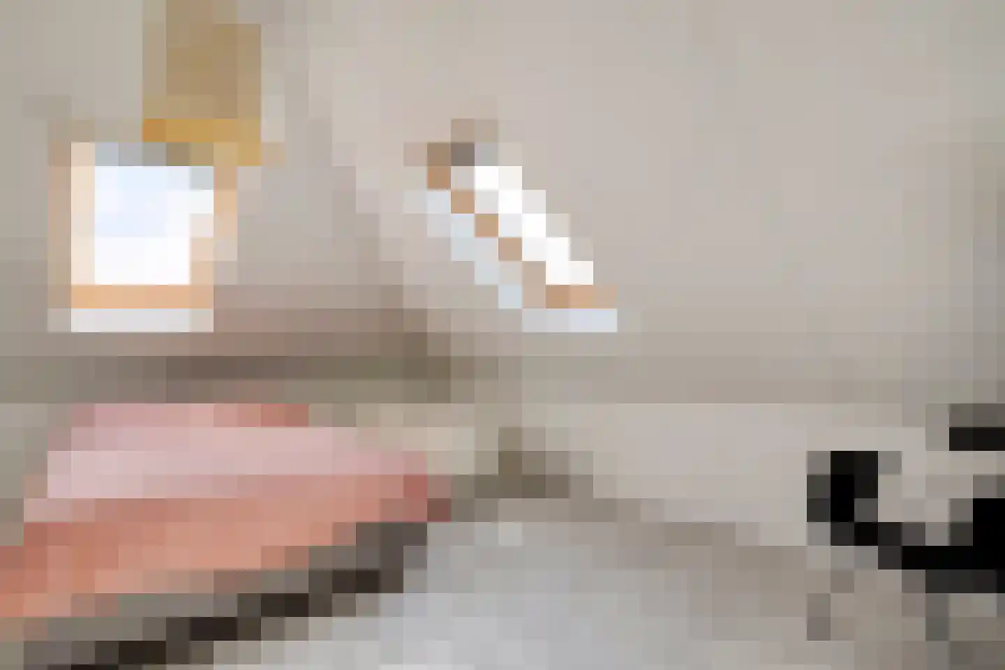 Oude Deventerstraatweg 31 Zwolle thumbnail 31
