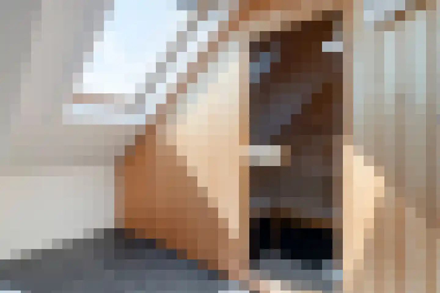 Oude Deventerstraatweg 31 Zwolle thumbnail 33