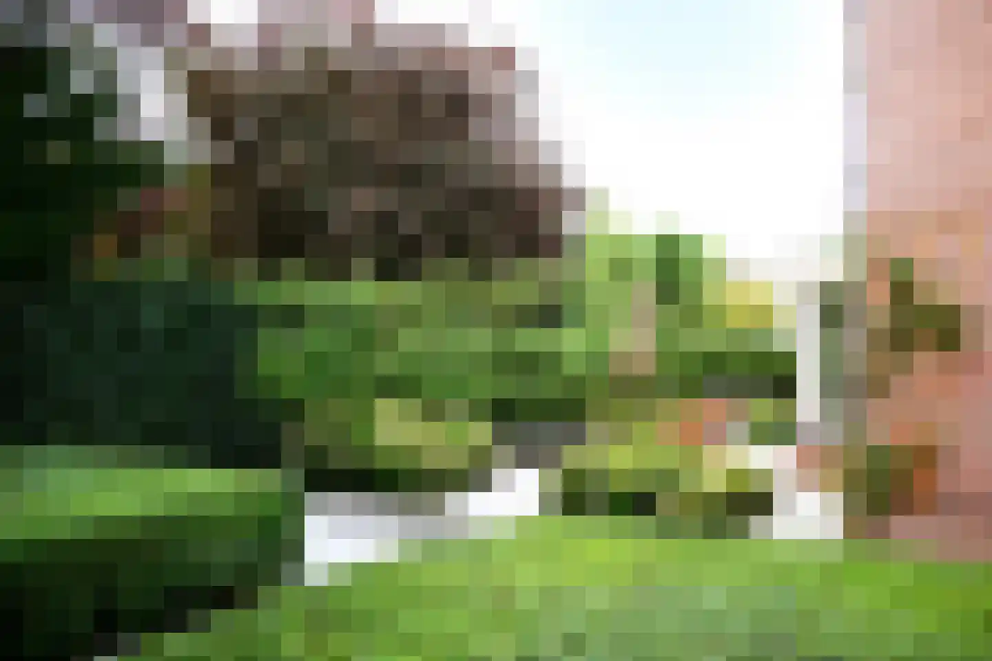 Oude Deventerstraatweg 31 Zwolle thumbnail 37