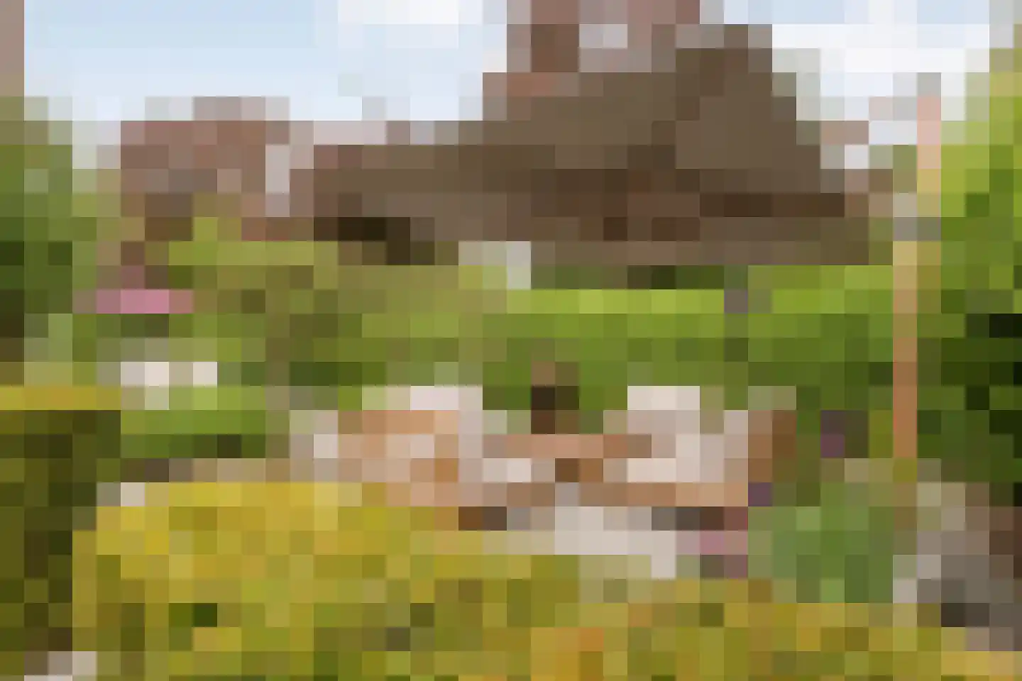 Oude Deventerstraatweg 31 Zwolle thumbnail 37