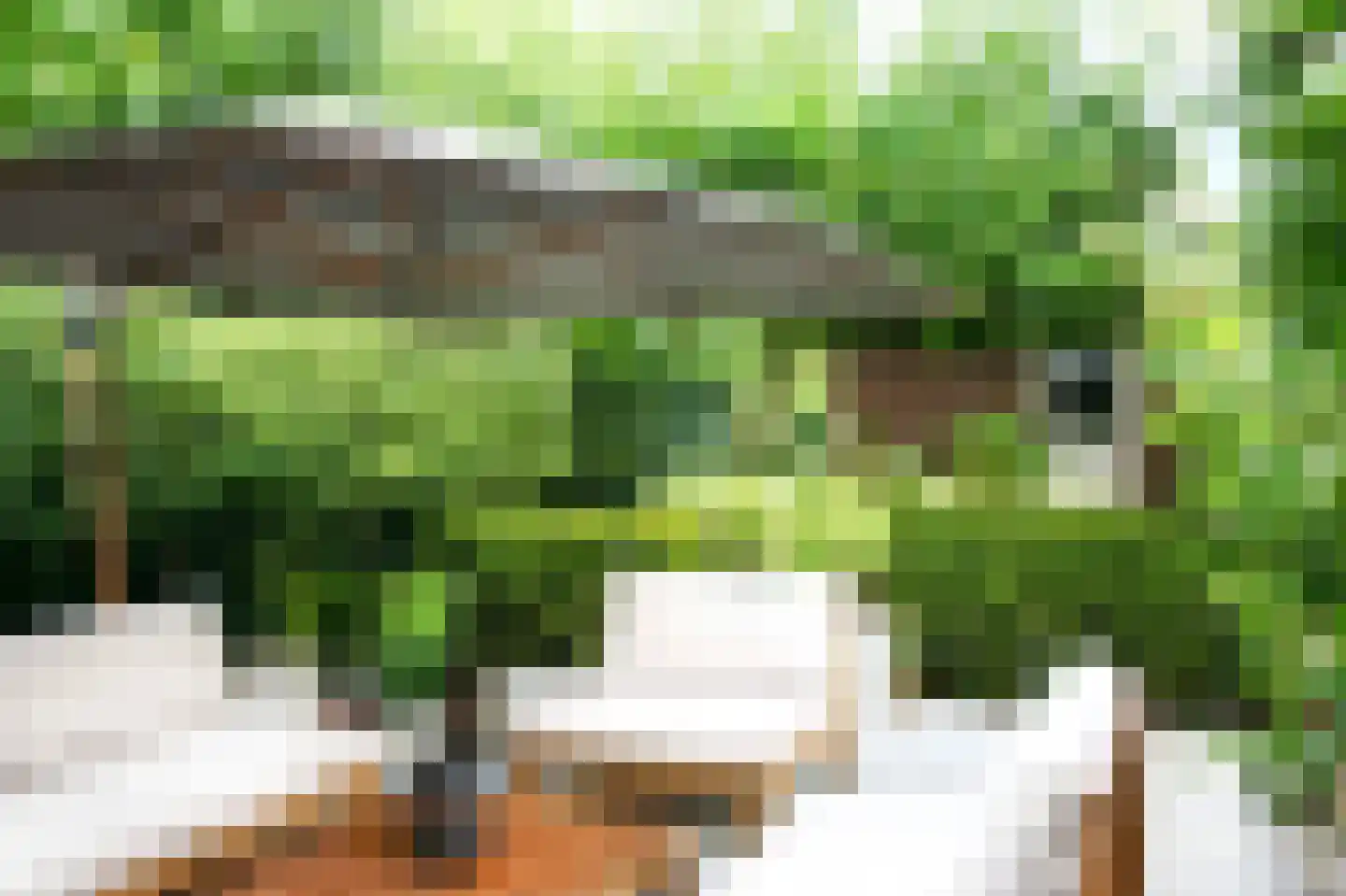 Oude Deventerstraatweg 31 Zwolle thumbnail 38