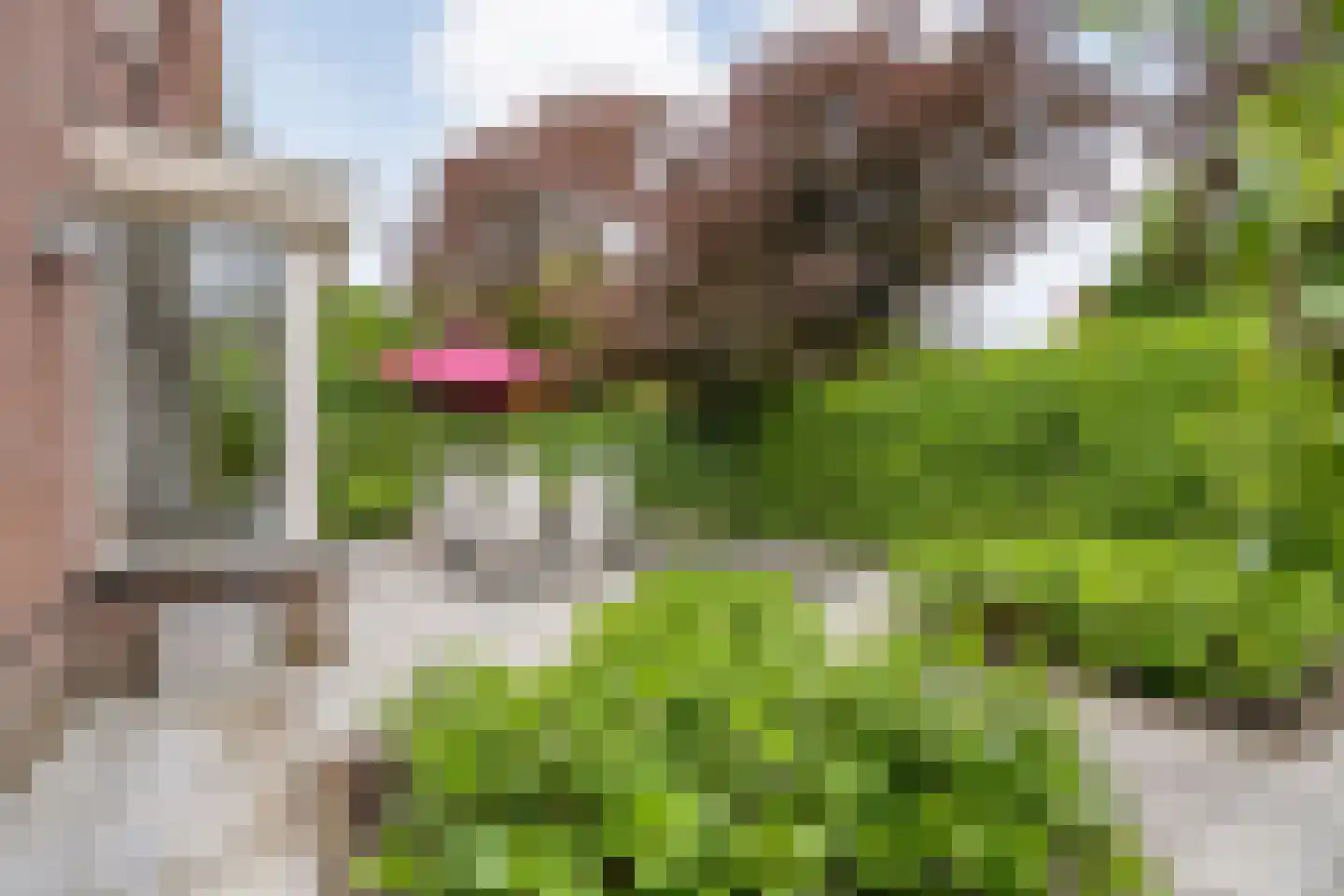 Oude Deventerstraatweg 31 Zwolle thumbnail 38