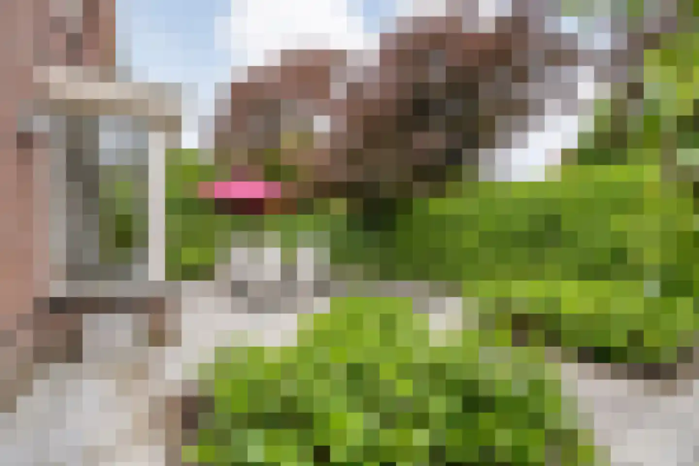 Oude Deventerstraatweg 31 Zwolle thumbnail 40