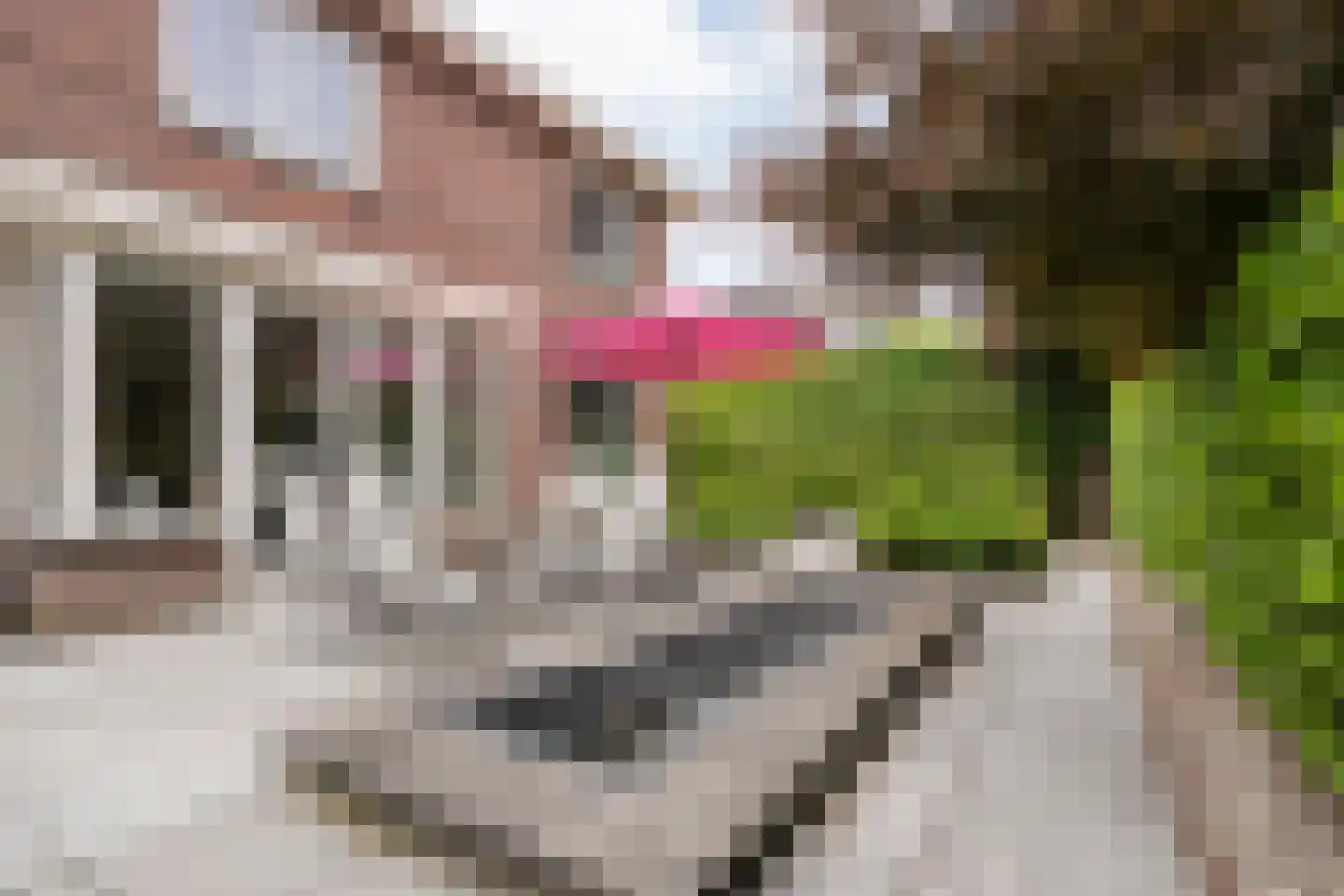 Oude Deventerstraatweg 31 Zwolle thumbnail 41