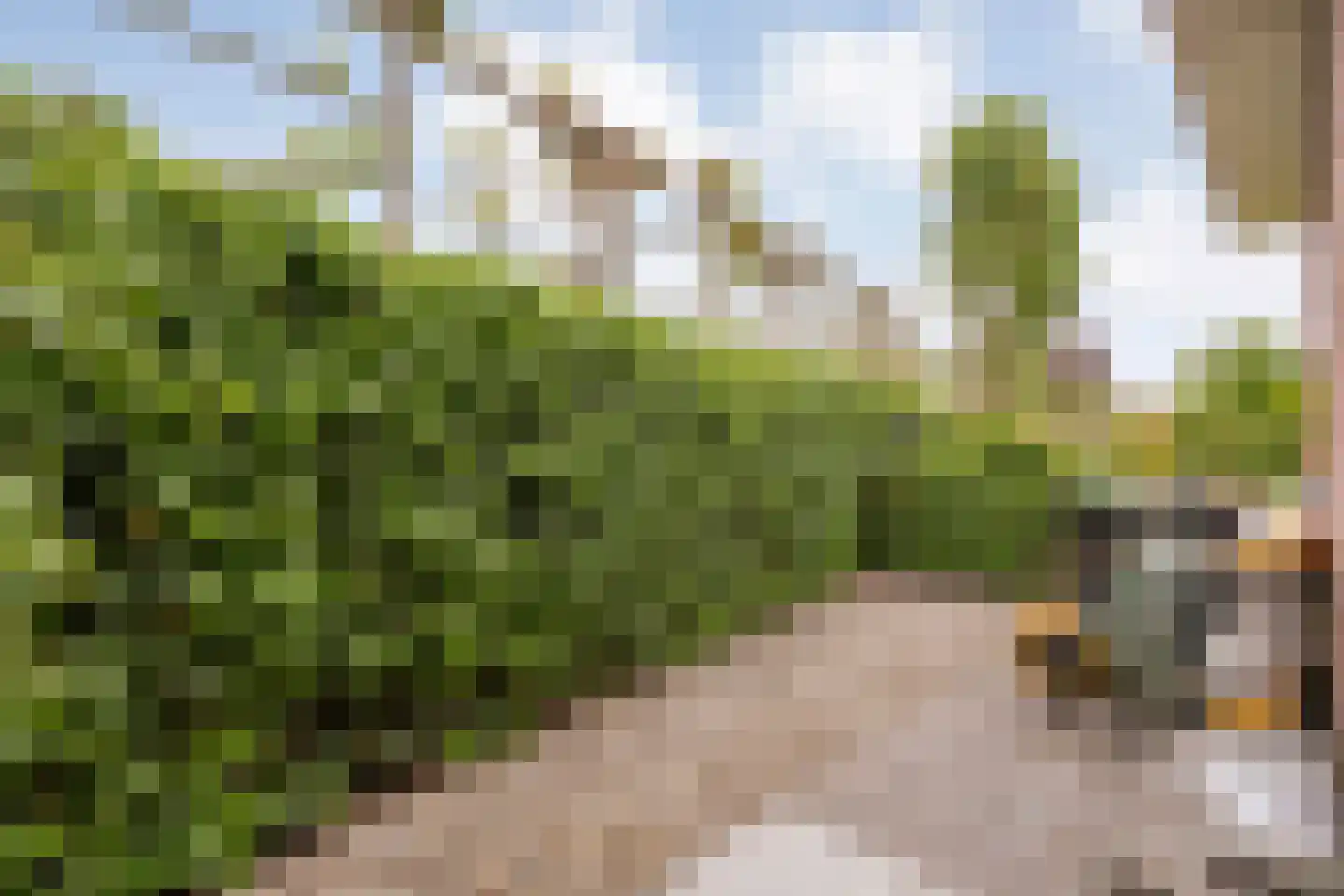 Oude Deventerstraatweg 31 Zwolle thumbnail 42
