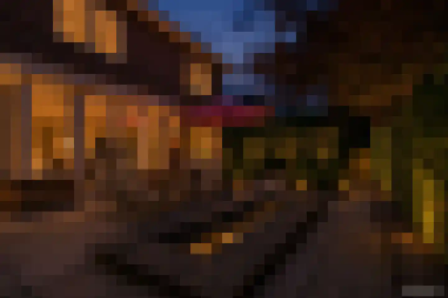 Oude Deventerstraatweg 31 Zwolle thumbnail 42