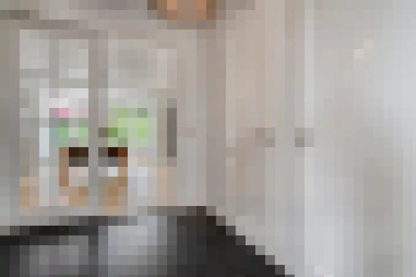 Oude Deventerstraatweg 31 Zwolle thumbnail 8