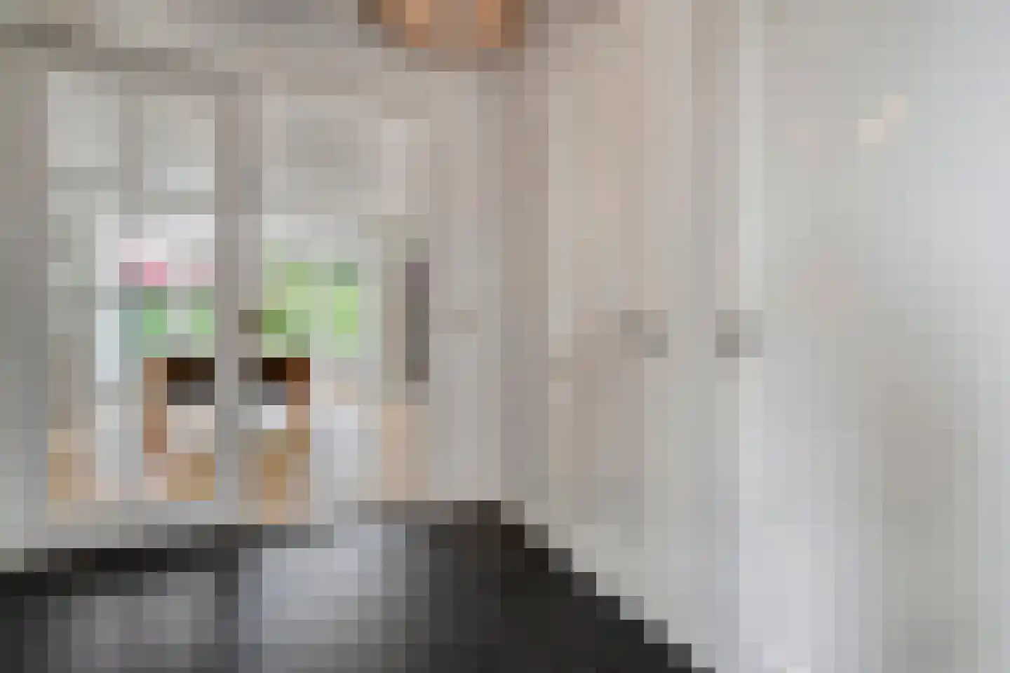 Oude Deventerstraatweg 31 Zwolle thumbnail 9